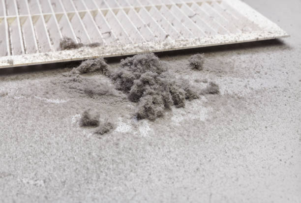 Best General Air Duct Cleaning  in Homer, AK