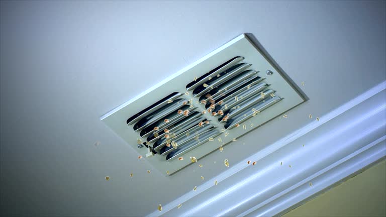 Homer, AK Airduct Cleaning Company