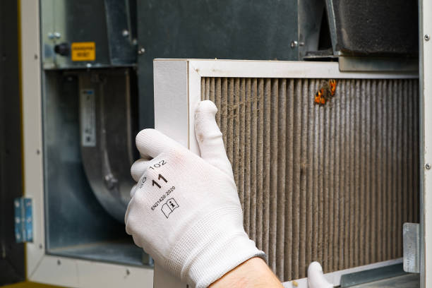 Best Air Quality Test  in Homer, AK